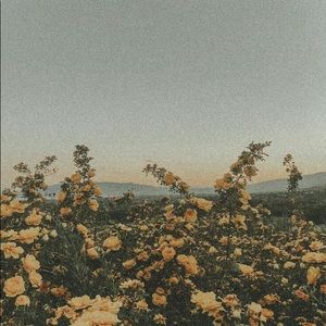 Meet your Posher, Lisette